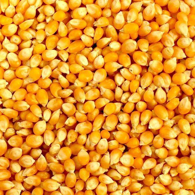 corn