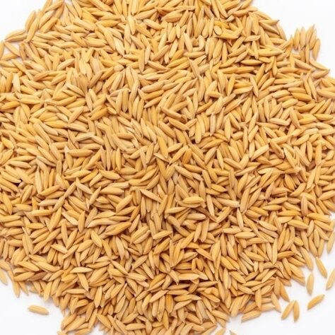 rice bran