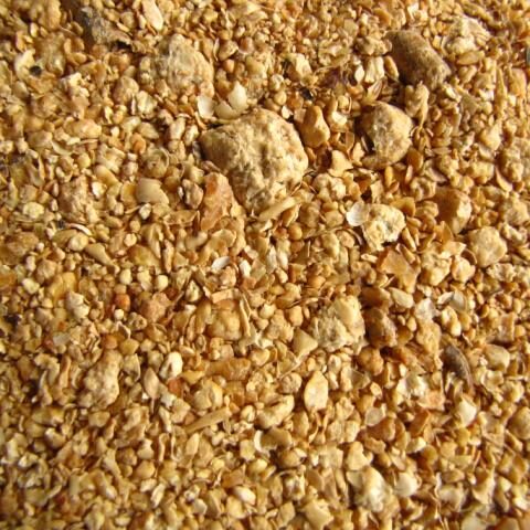 soybean_meal